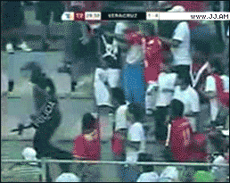 post-12688-1262145972.gif