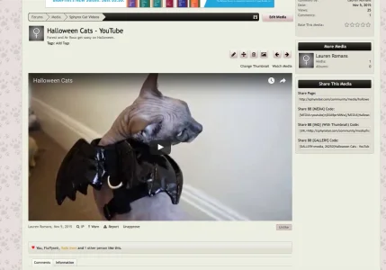 Screen Shot 2016-05-13 at 7.39.29 PM.webp