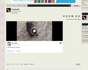 Screen Shot 2016-05-13 at 7.37.47 PM.webp