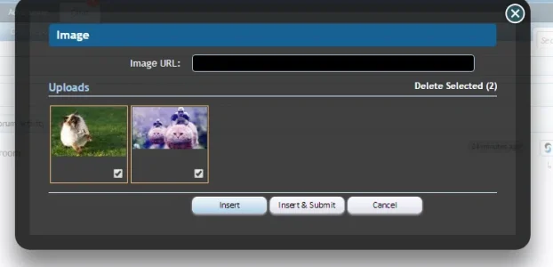 Uploads.webp