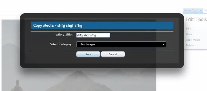 copymediaoverlay.webp
