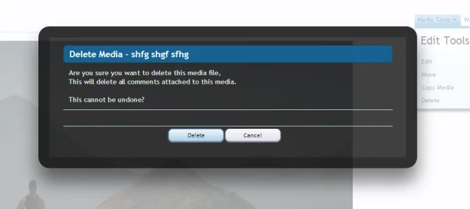 deletemediaoverlay.webp