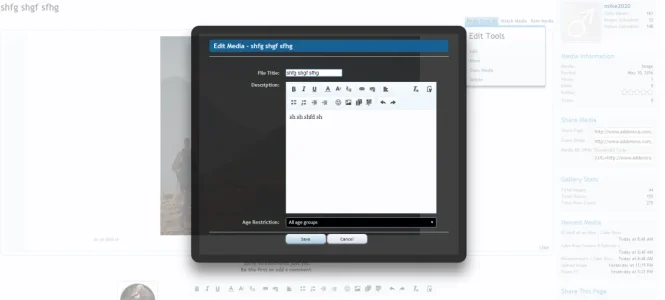 editmediaoverlay.webp