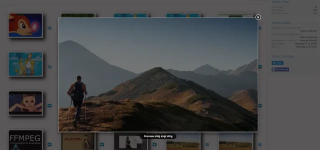 mediapreview.webp