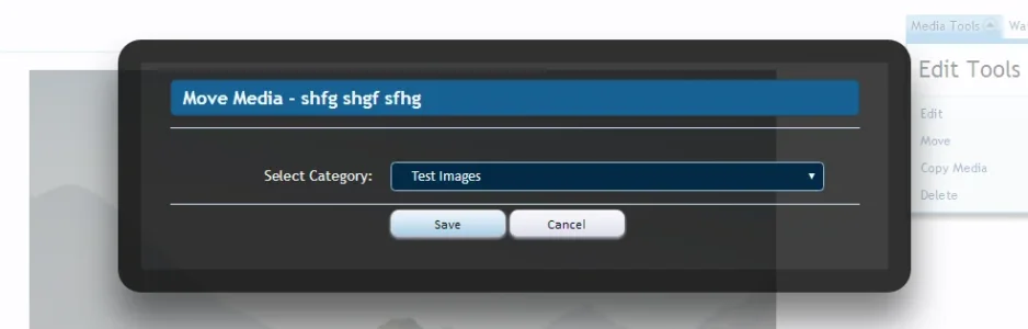 movemediaoverlay.webp