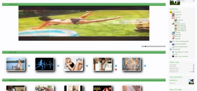 mewfrontpage.webp