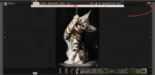 Screen Shot 2016-07-16 at 4.49.32 AM.webp