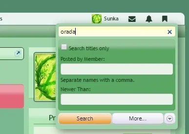 search.webp