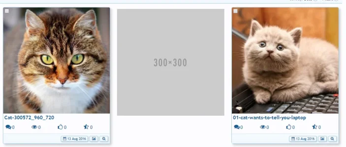 mediaAds.webp