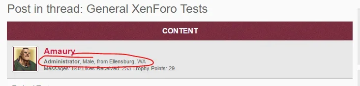Report.webp