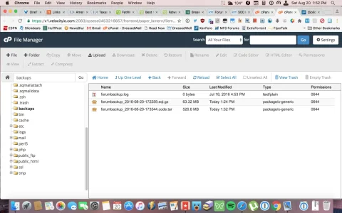 cPanel File Manager v3 2016-08-20 13-52-27.webp