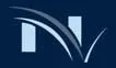 nv.consulting.logo.webp