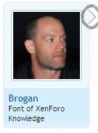 bug.webp