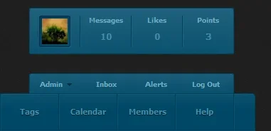visitor_tabs.webp