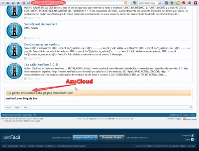 5.webp