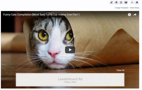 videoView.webp