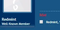 maybe a slight issue Redmint username.webp