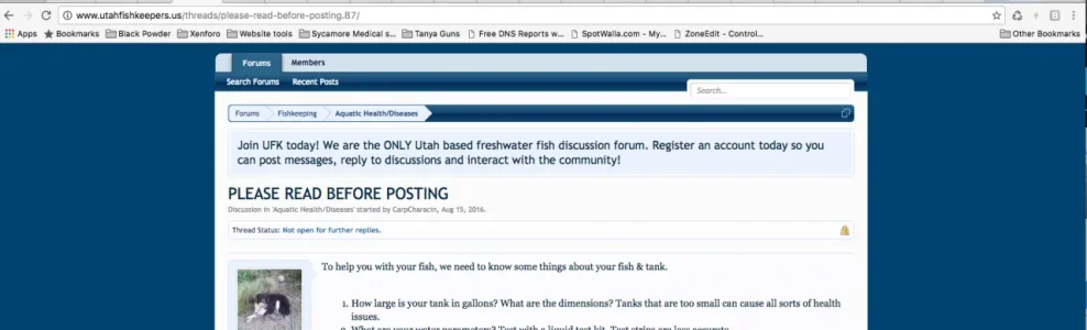 Screen Shot 2016-09-13 at 1.16.18 PM.webp