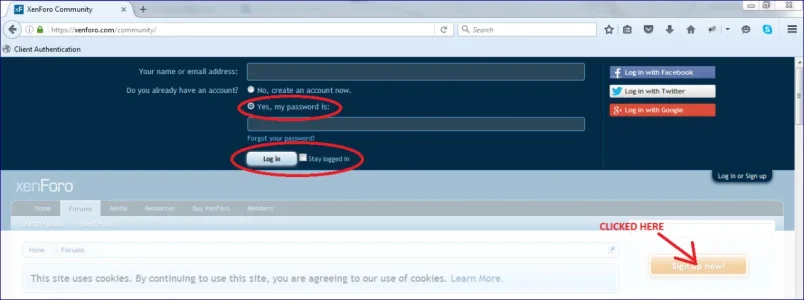 Capture1.webp