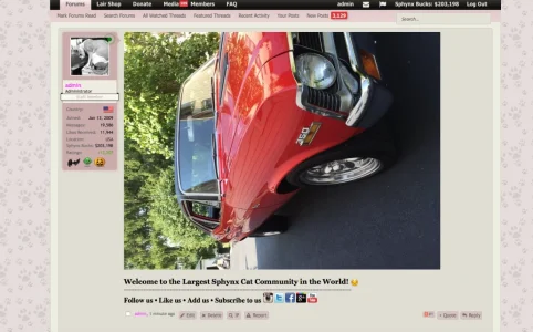 Screen Shot 2016-10-29 at 8.57.05 AM.webp