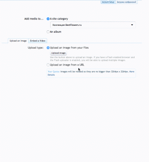 XF.BF-UploadBug_NoTagsSet.gif