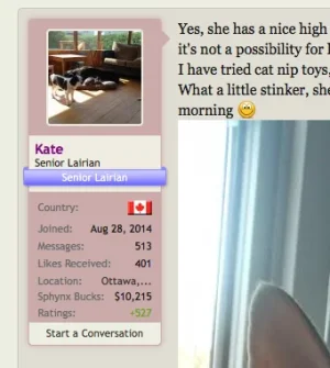 Screen Shot 2016-11-08 at 5.25.17 AM.webp