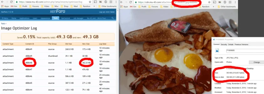 log.webp