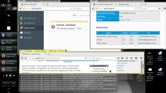 Adobe Flash Player enabled.webp