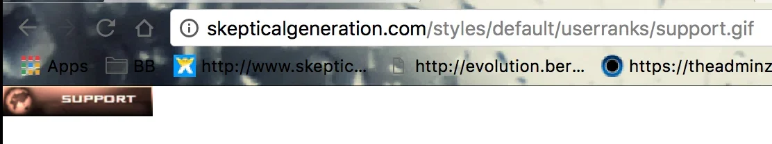 Screen Shot 2016-11-27 at 7.24.42 AM.webp