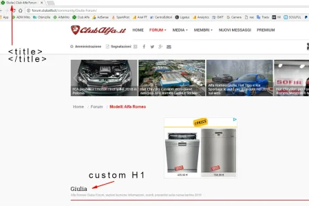 seo-mod.webp