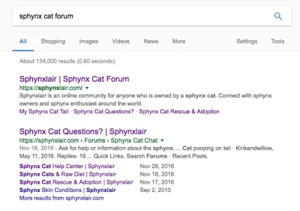 sphynx cat froum.webp