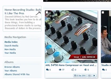 media-bug.webp