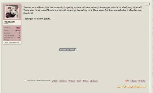 Screen Shot 2017-01-19 at 5.28.41 AM.webp