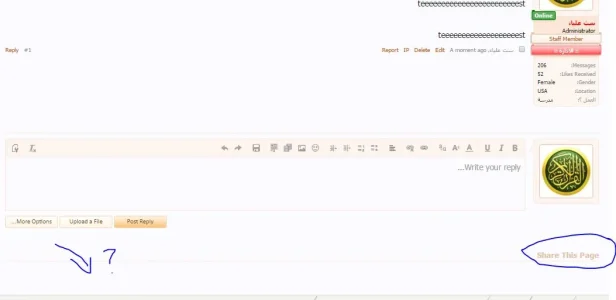 she33.webp