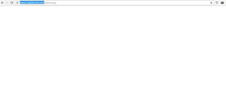 white page.webp