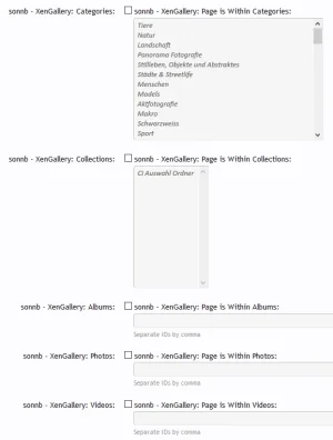 sonnb_gallery_adsmanager.webp