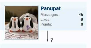 xenavatar.webp