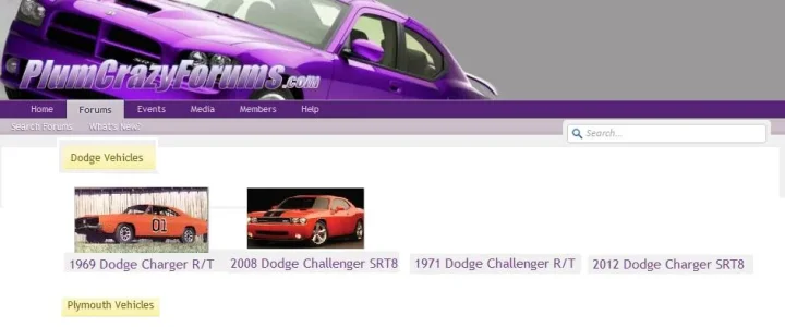 plum.crazy.articles.mockup.webp