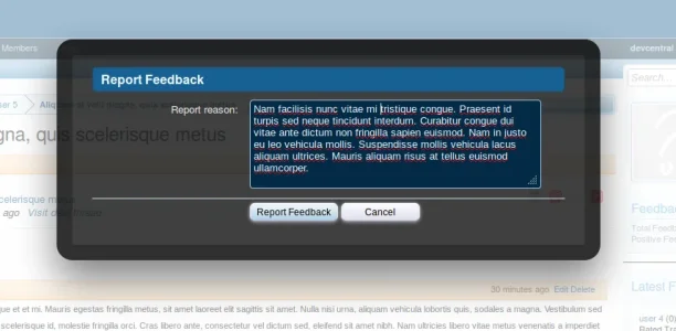 Report-Feedback.webp