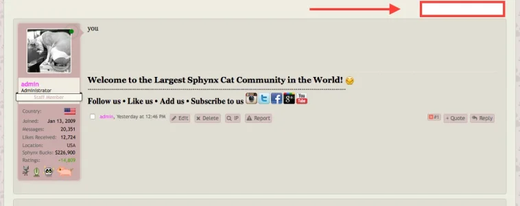 Screen Shot 2017-03-19 at 6.55.09 AM.webp