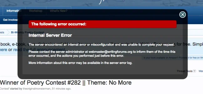internalerror.webp