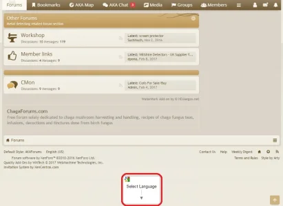 google_translate_footer.webp