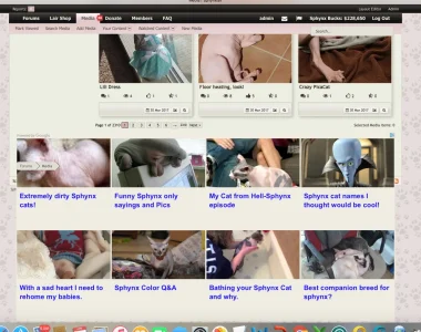 Screen Shot 2017-04-01 at 6.56.14 AM.webp