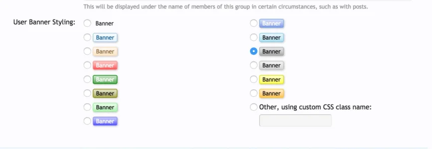 User Banner Styling.webp