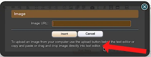 SafariScreenshot004.webp
