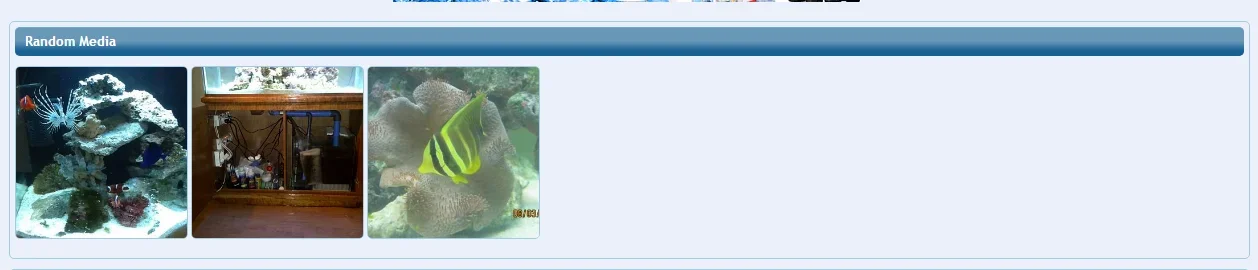 screenshot-www.marineaquariumsa.com-2017-05-03-10-57-51.webp