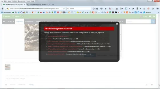 Hot link Errors.webp