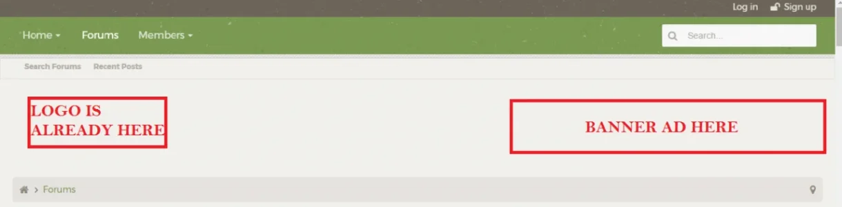 eexample.webp