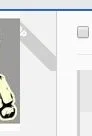 op0.webp