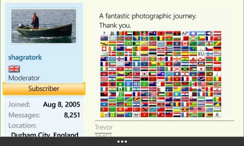 wrong_avatar_flags.webp